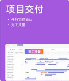 项目交付